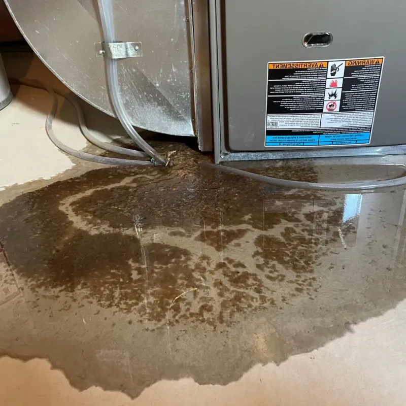 Pipe Burst and Leak Restoration in Calhoun Falls, SC